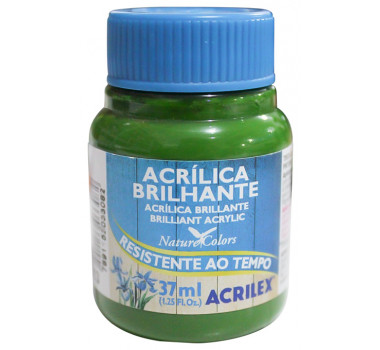 Tinta-Acrilica-Brilhante-Verde-Musco-37ML-Acrilex